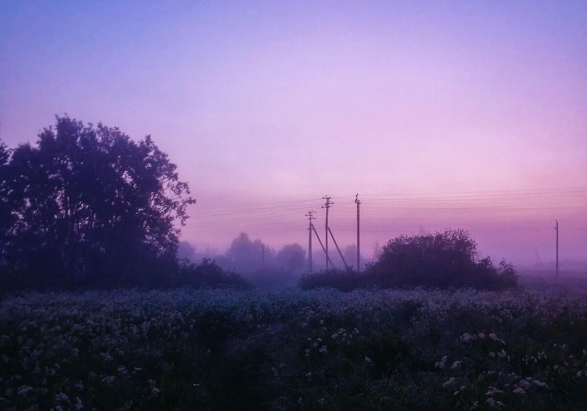 开云体育下载：畅享极致体育体验，轻松掌握赛场动态